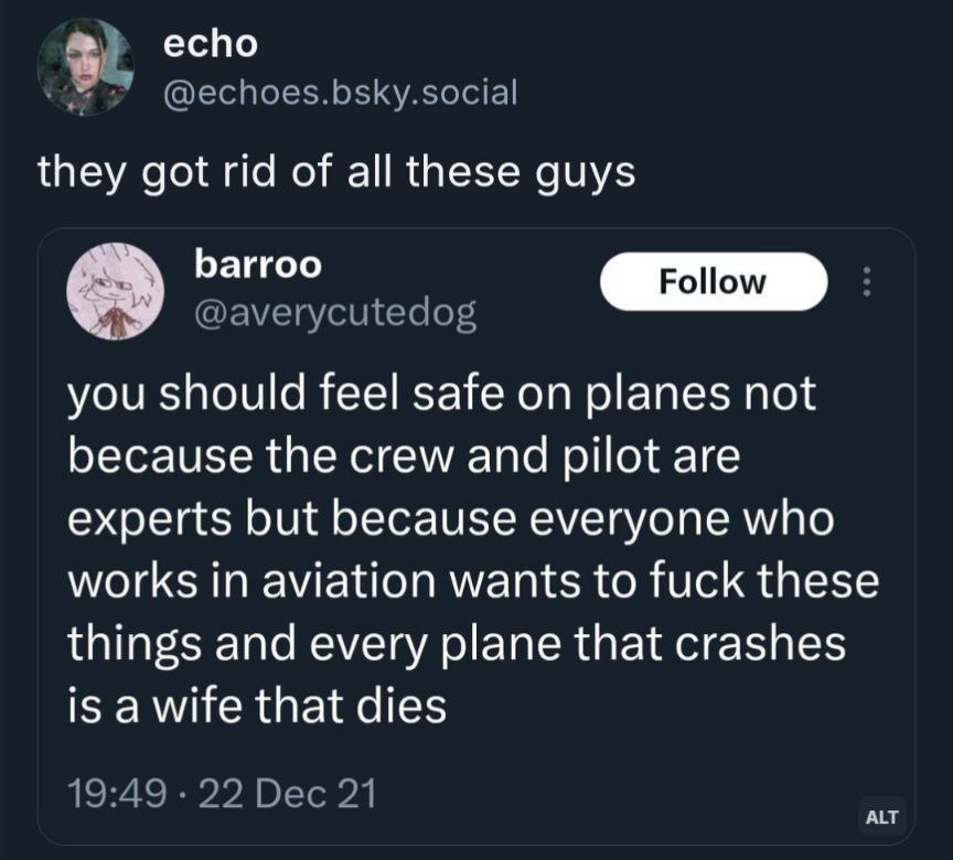 echo they got rid of all these guys Баггоо you should feel safe on planes not because the crew and pilot are experts but because everyone who works in aviation wants to fuck these things and every pla
