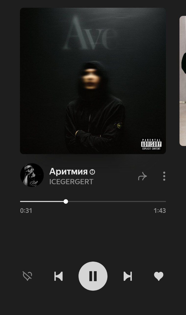 ARENTAL EXPLICIT CONTENT Аритмия ICEGERGERT 0:31 1:43