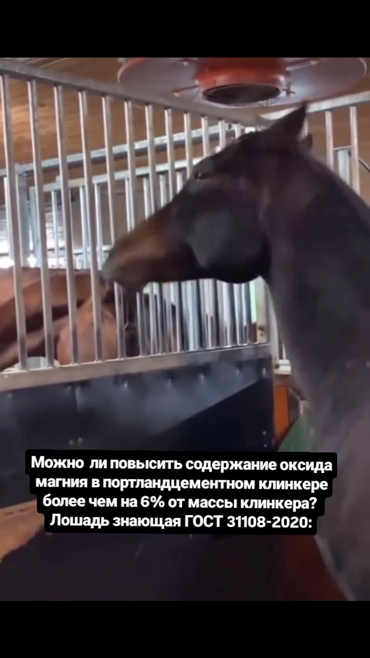 Можно ли повысить содержание оксида магния в портландцементном клинкере = более чем Ha 6% от массы клинкера?