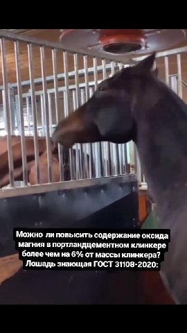Можно ли повысить содержание оксида магния в портландцементном клинкере = более чем Ha 6% от массы клинкера?