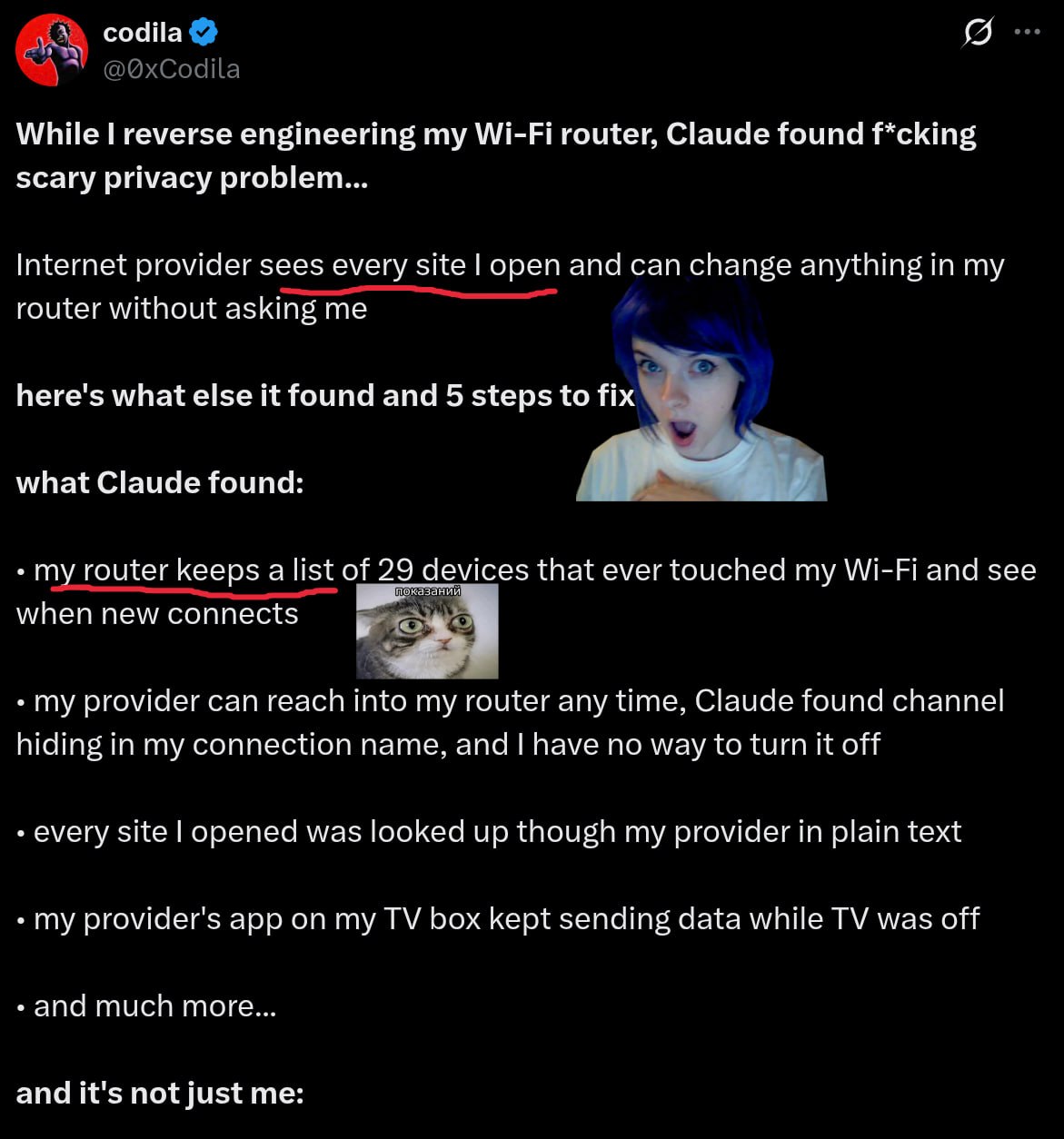❗️ Hearbreaking: AI researcher & software engineer finds out how public DNS and routers work.