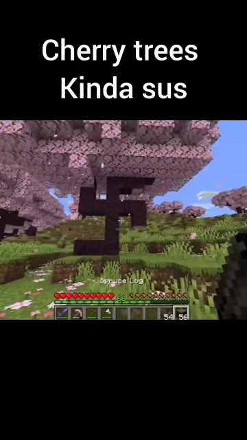Cherry trees