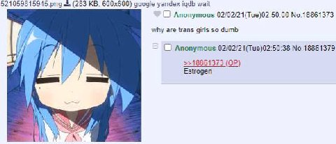 521059815945 png (283 google уапдех igdb wait Anonymous 02/02/21(Тие)02:50:00 No.18861373 why are trans girls so dumb Anonymous 02/02/21(Тие)02:50:38 No.18861379 >>18861373 Estrogen у