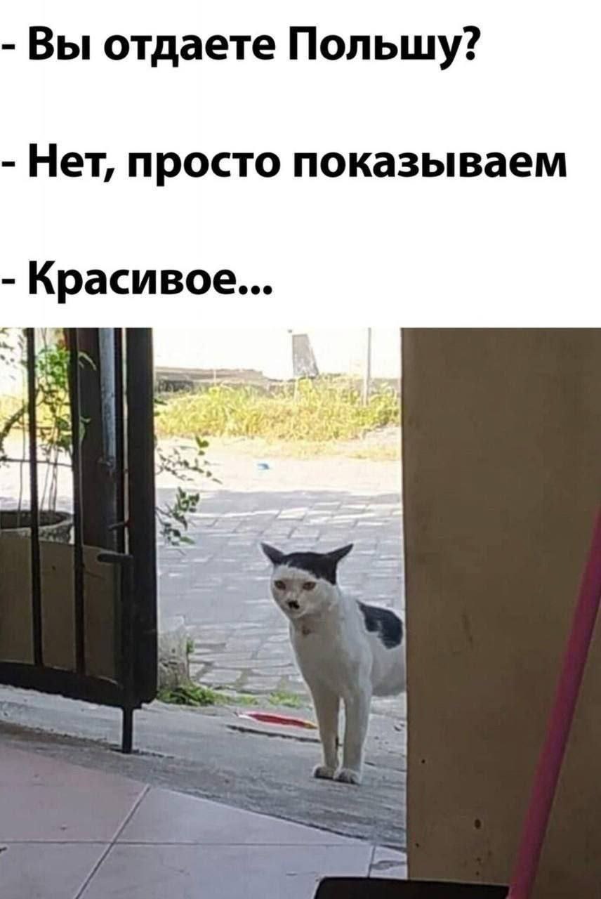 Вы отдаете Польшу? Нет, просто показываем Красивое...
