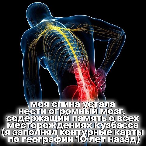 моя спина устала нести огром содержащ и о всех Mec" ‘орождениях кузбасса (я заполнял контурные карт по географии наз