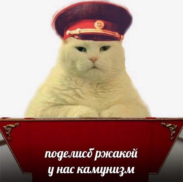 3% поделисд ржакой