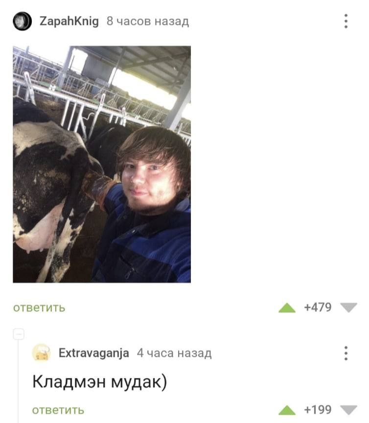 ZapahKnig 8 часов назад A и ответить +479 Extravaganja 4 назад Кладмэн мудак) ответить +199