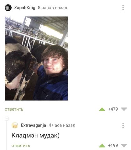 ZapahKnig 8 часов назад A и ответить +479 Extravaganja 4 назад Кладмэн мудак) ответить +199