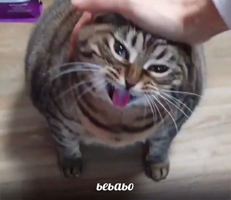 ъеБаьо
