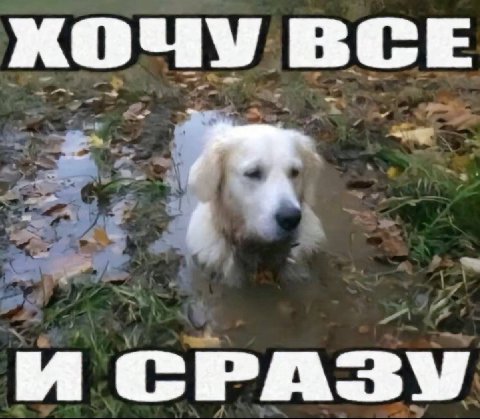 КОЧУ ВСЕ И СРАЗУ