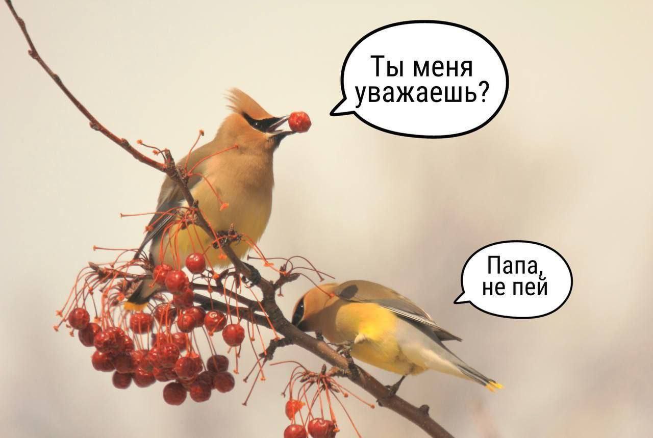 Ты меня уважаешь? Папа He пеи У. aN