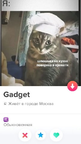 кухне повориха в кровати Gadget Живёт в городе Москва Обыкновенная