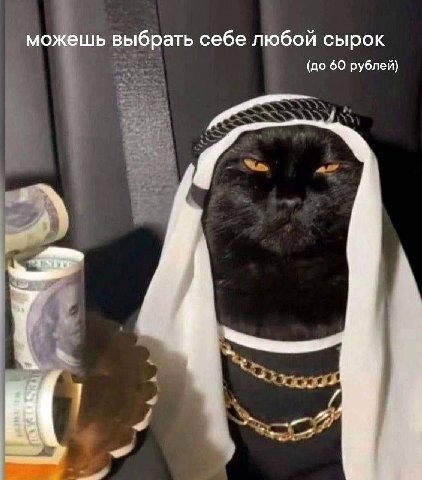 можешь выбрать себе любой сырок (до 60 рублей) а