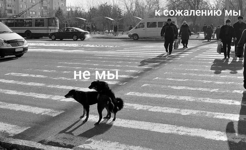 ожалению мы and ere 55 А