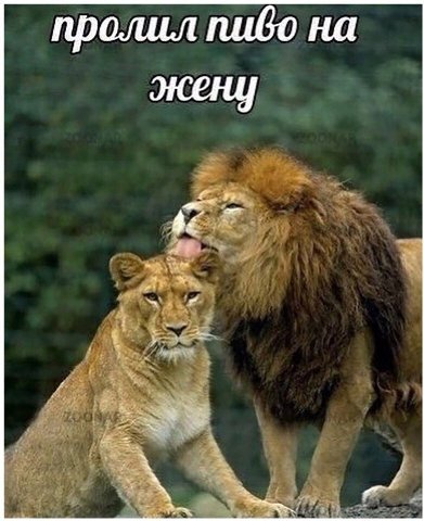 пролил пибо на