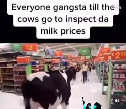 Everyone gangsta till the