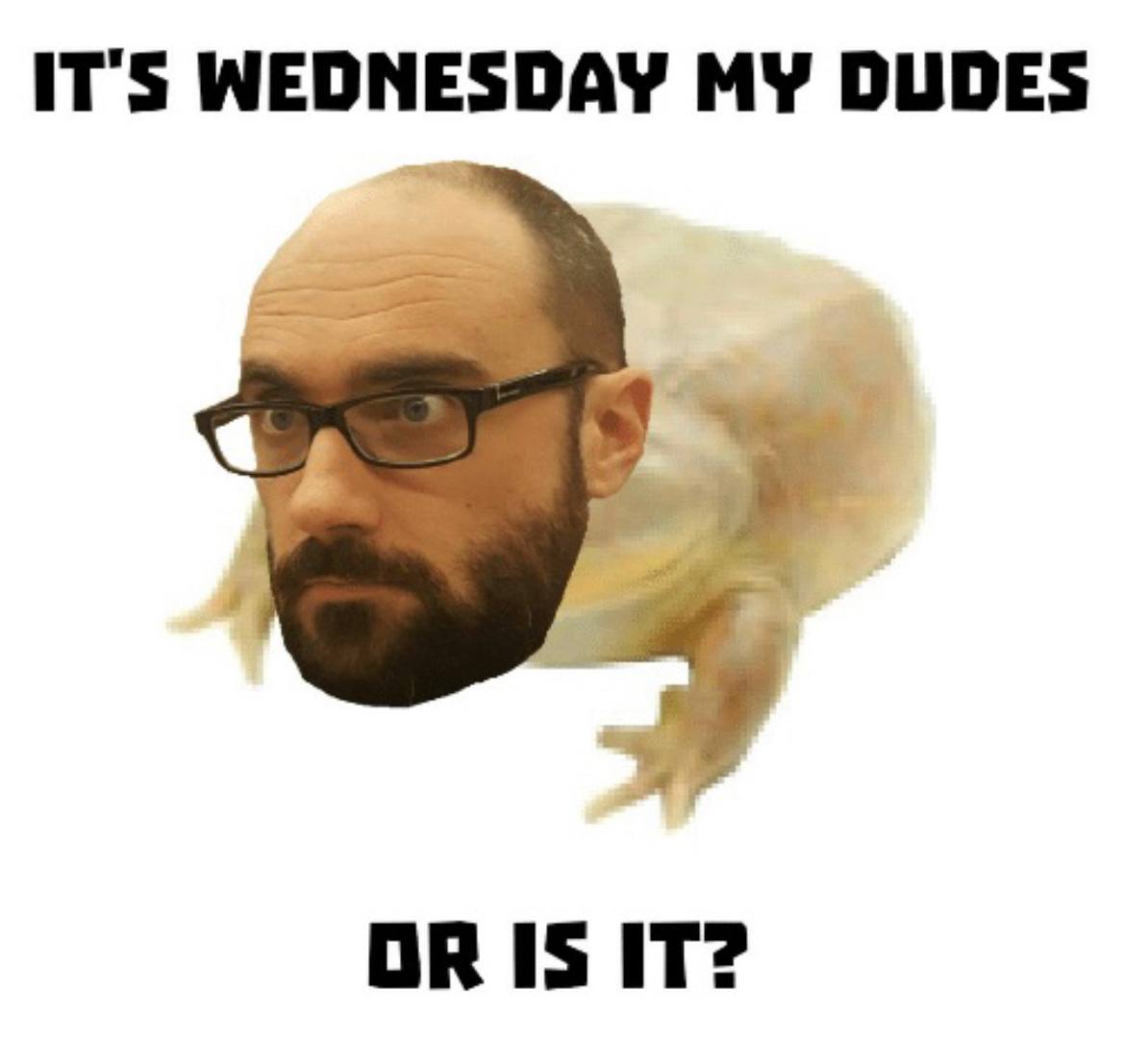 IT'S DUDES OR IS IT?