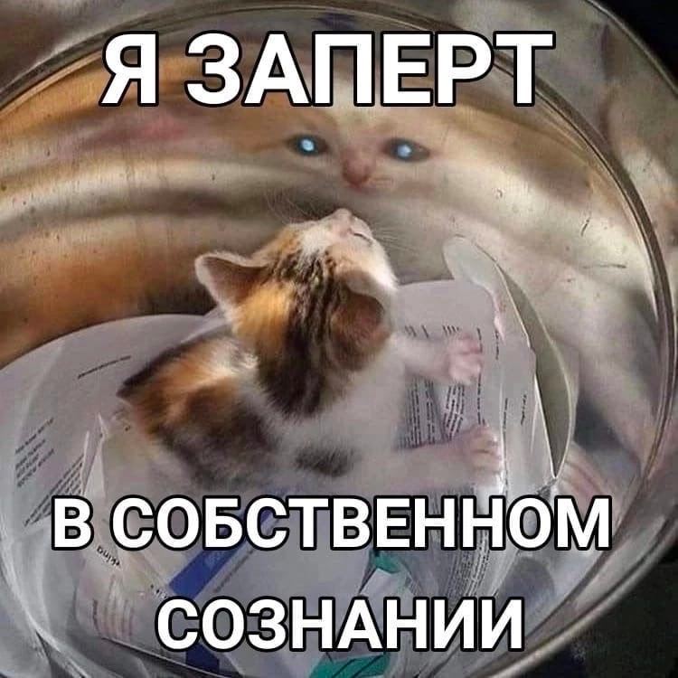Я ЗАПЕРТ _В СОБСТВЕННОМ СОЗНАНИИ