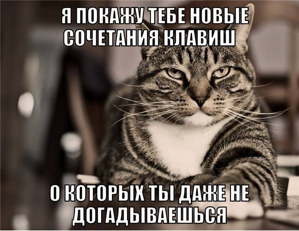 Я СОЧЕТАНИЯ КЛАВИШ 0 ты ДАЧЕ ВНЕ ДОГАДЫВА ЕШЬСЯ