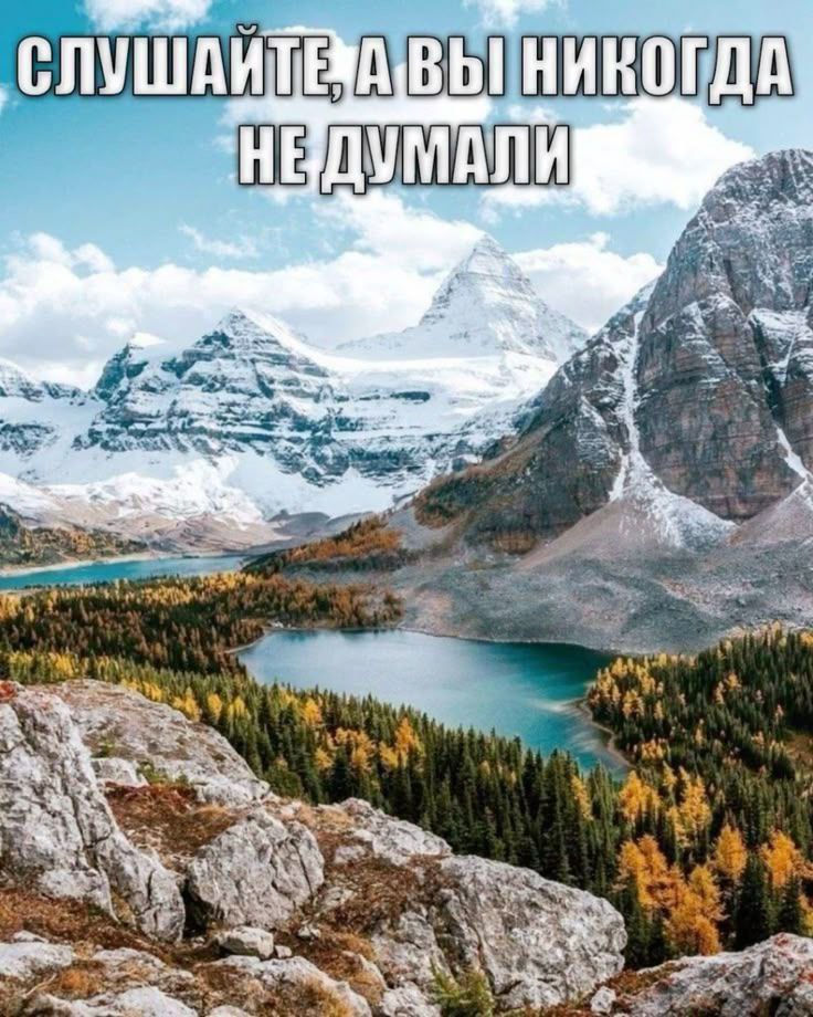 СЛУШАИТ НЕДУМАЛИ 22 Pig, a4 wet 4 vey