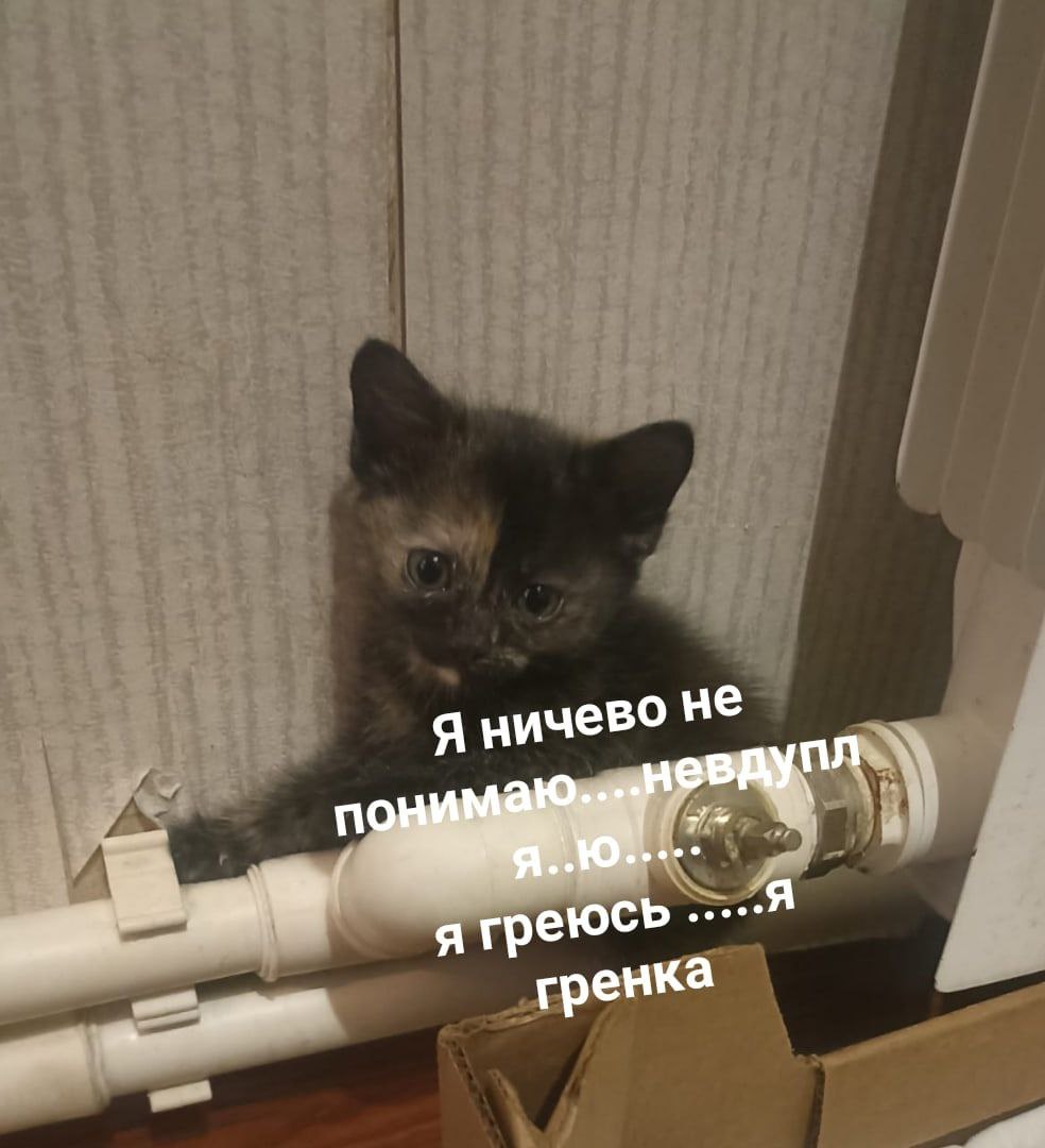 я ничево не я греюсь .....Я гренка