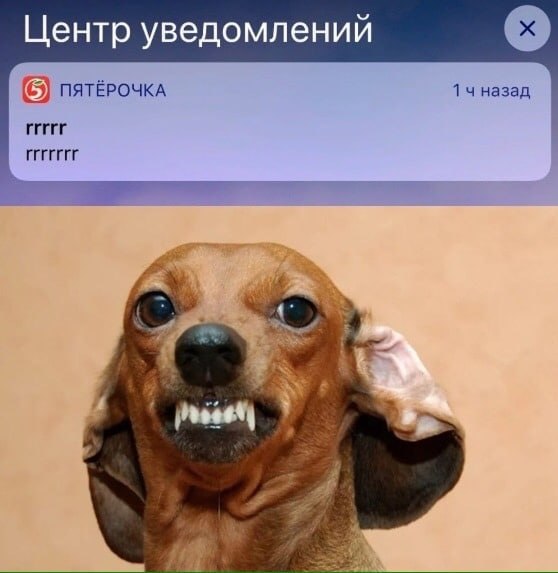 Центр уведомлений ПЯТЁРОЧКА 14 назад