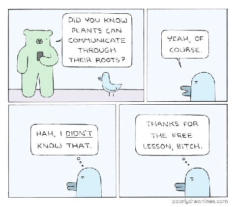 DID YOU KNOW PLANTS CAN COMMUNICATE YEAH, OF THROUGH COURSE THEIR ROOTS? THANKS FOR HAH, THE FREE KNOL THAT. LESSON, BITCH poorlydrawnlines.com