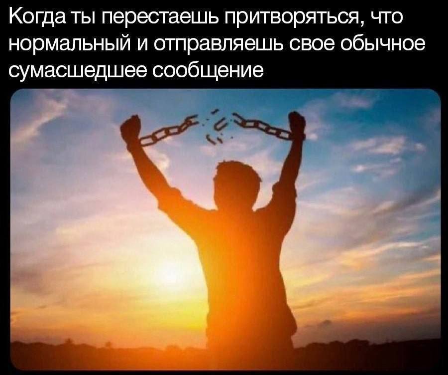 Когда ты перестаешь притворяться, что нормальный и отправляешь свое обычное сумасшедшее сообщение
