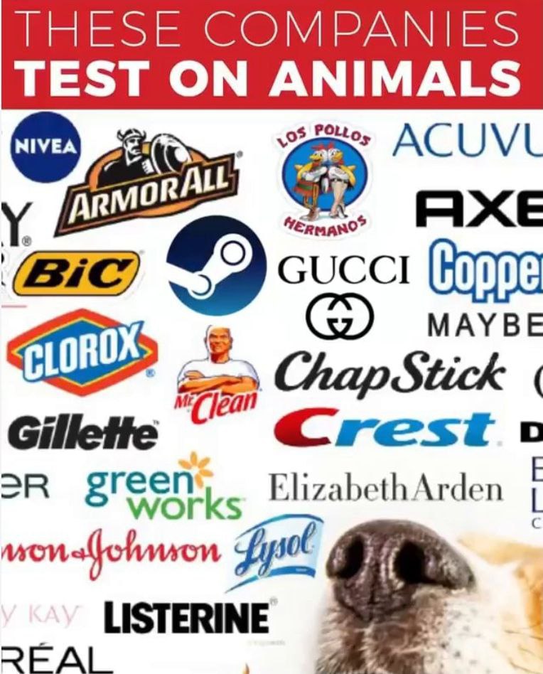 TEST ON ANIMALS 26>, 255 ACUVL у ARN [ЖЕ МАУВЕ ChapStick Gillette Crest с 2А