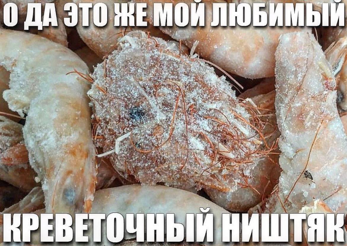 О ДА ЭТО НЕ МОИЛЮБИМЫЙ i's, a Ain 3, a at ter 1+, 2 4. at he avy A! ума