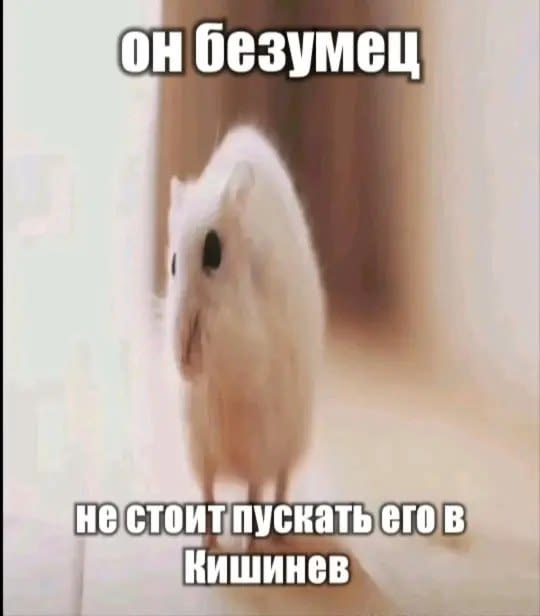 онбезумец Кишинев