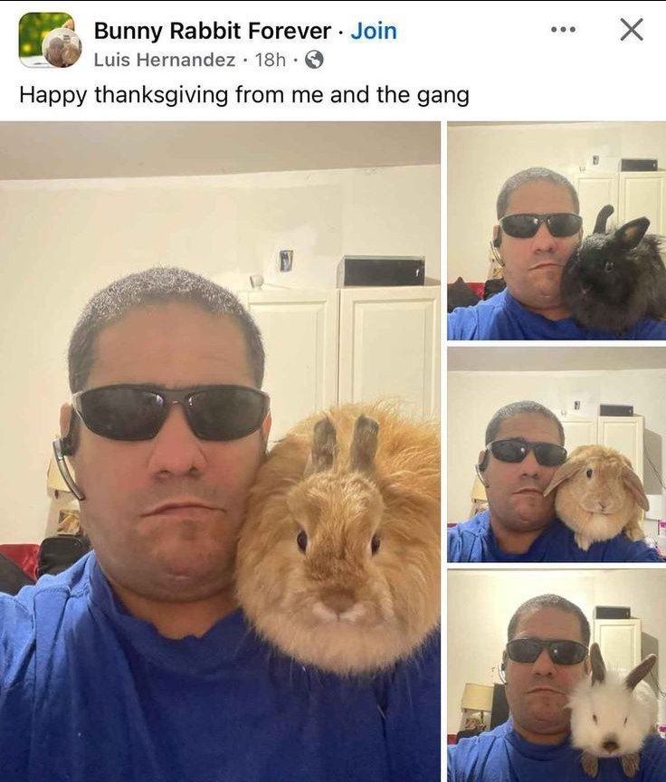 Bunny Rabbit Forever Join eee a Luis Hernandez Happy thanksgiving from me and gang 5