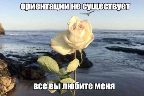 ориентации существует 5 7 2 всевы любите меня