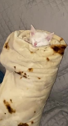 мем