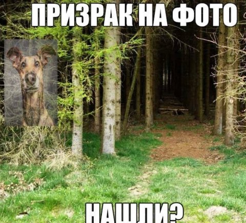 ПРИЗРАК НА ФОТО 3% “3, 5 HAI
