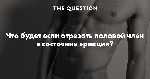 THE QUESTION Что будет если отрезать половой член в состоянии эрекции?