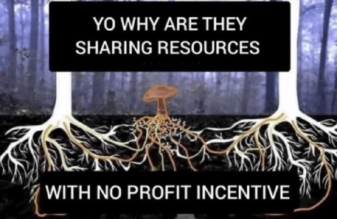 WHY ARE THEY SHARING RESOURCES i WITH NO PROFIT INCENTIVE