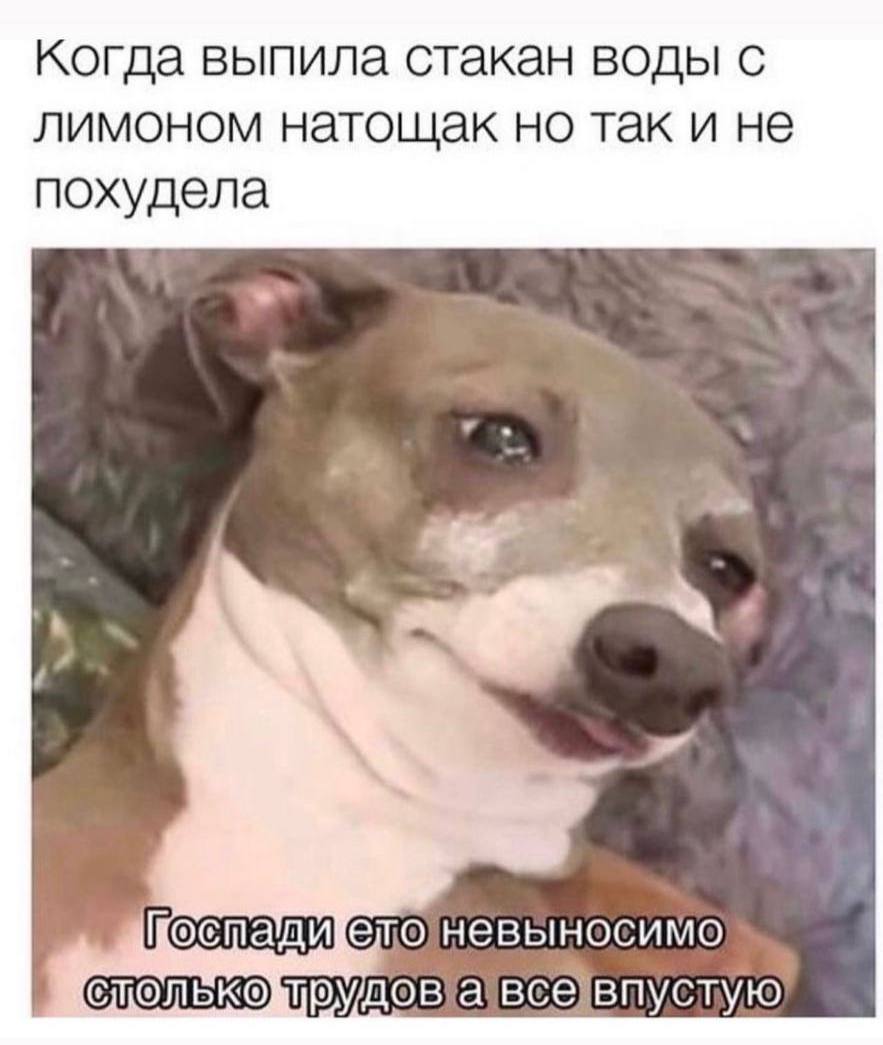 когда выпила стакан воды с лимоном натощак но так и не похудела елоневыносимо