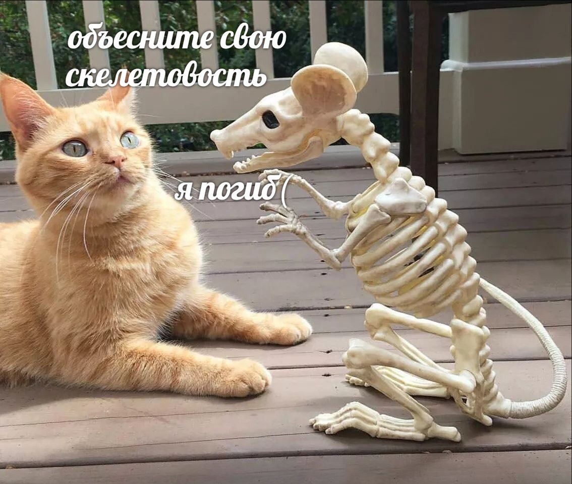 объесните свою скелетовость AS и
