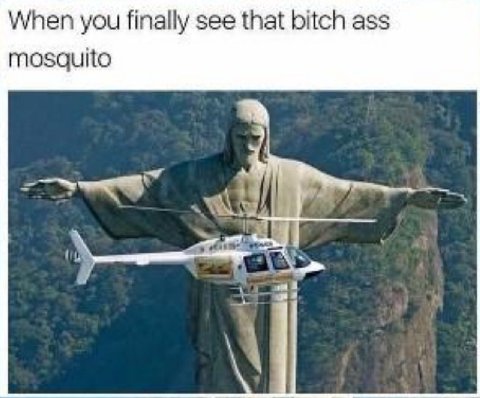When you finally see that bitch ass mosquito