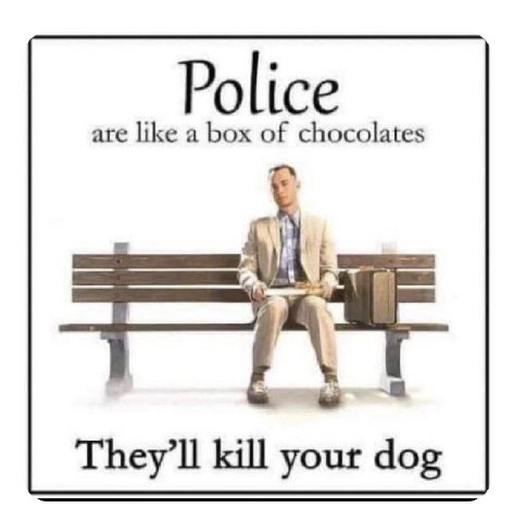 Police are like a box of chocolates They'll kill your dog
