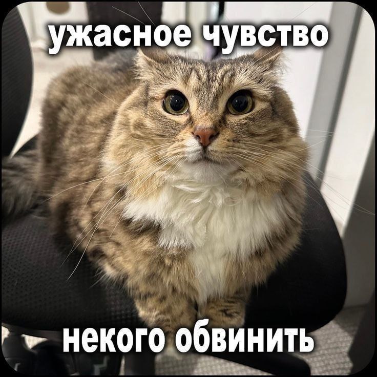 Ужасное чувство некого обвинить