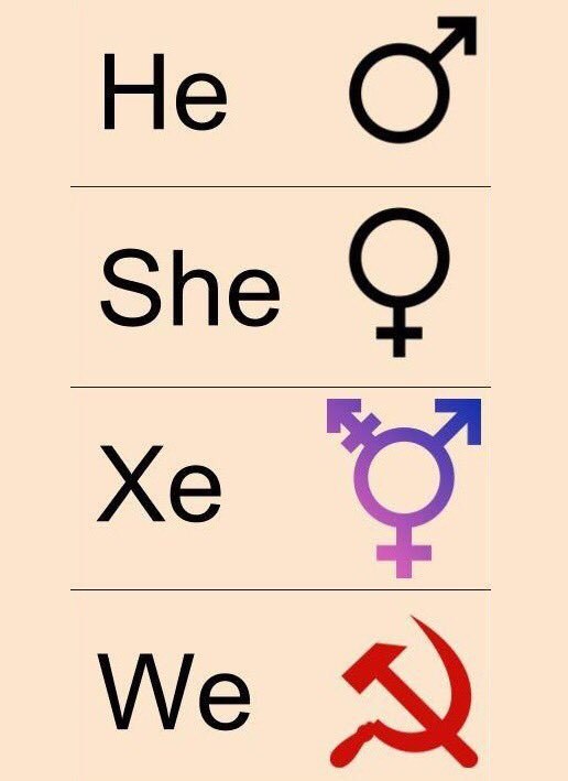 Не С She We