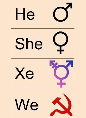 Не С She We