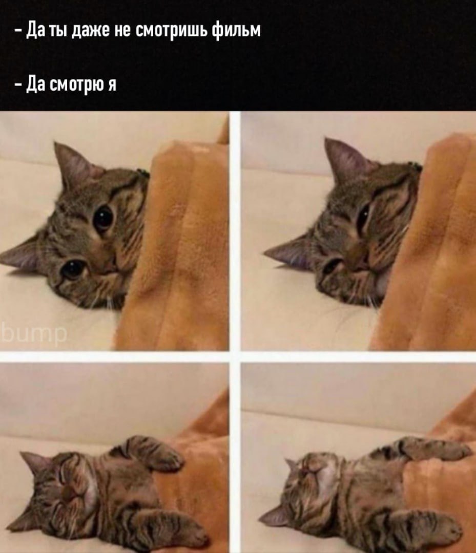 Даты даже не смотришь фильм Да смотрю я