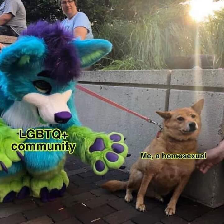 4 community, mE Me, ahomosexual 4 Я a