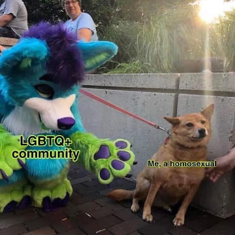 4 community, mE Me, ahomosexual 4 Я a