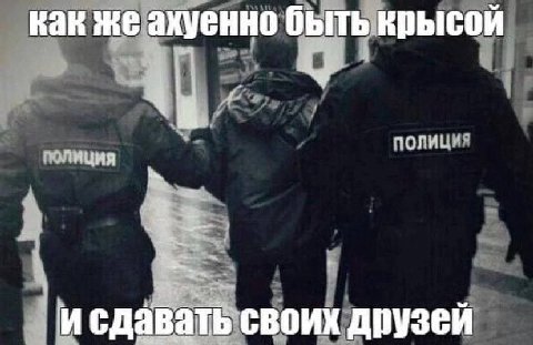 как же ахуенно быть крысой и сдавать своих друзей