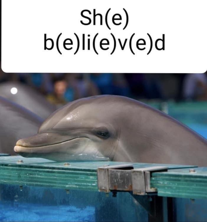 Sh(e b(e)li(e)v(e)d