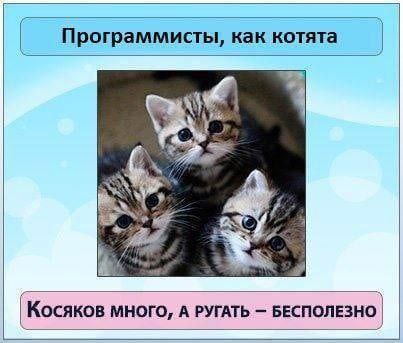 Программисты, как котята Косяков МНОГО, А РУГАТЬ БЕСПОЛЕЗНО,